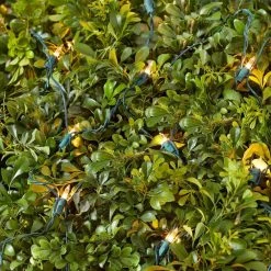 Home Accents Holiday 150L Clear Incandescent Mini Net Lights 11 Home Accents Holiday 150L Clear Incandescent Mini Net Lights -HOME ACCENTS HOLIDAY Shop home accents holiday christmas net lights tol 150 3wa n c 40 1000