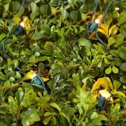 Home Accents Holiday 150L Clear Incandescent Mini Net Lights 15 Home Accents Holiday 150L Clear Incandescent Mini Net Lights -HOME ACCENTS HOLIDAY Shop home accents holiday christmas net lights tol 150 3wa n c 77 1000