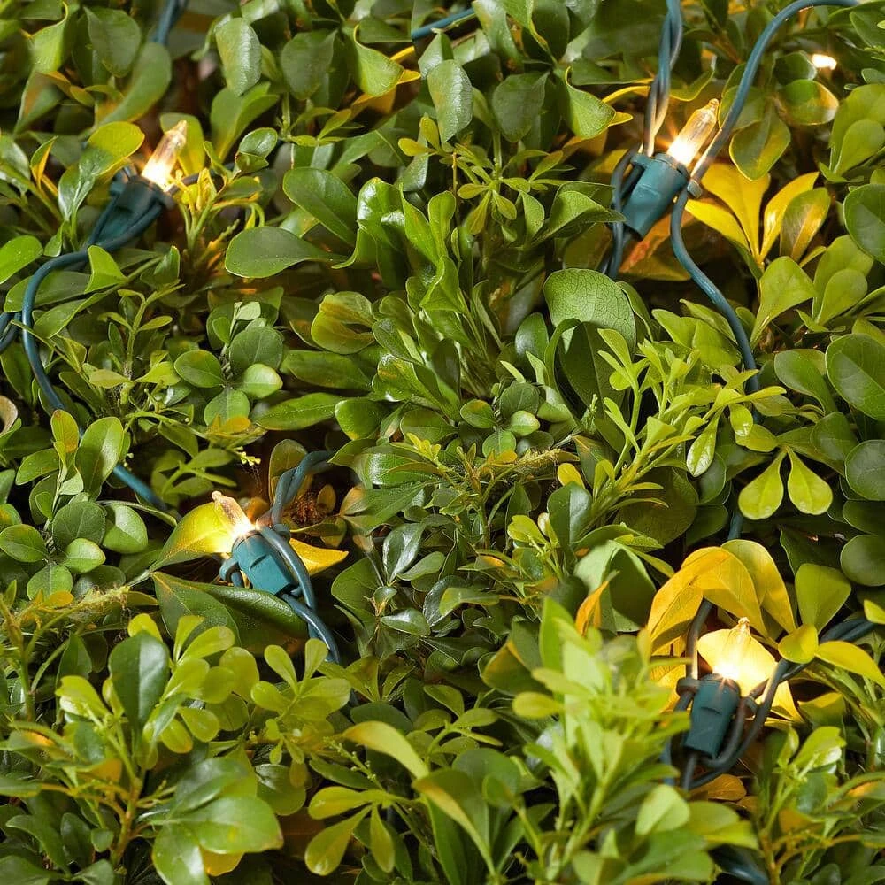 Home Accents Holiday 150L Clear Incandescent Mini Net Lights 9 Home Accents Holiday 150L Clear Incandescent Mini Net Lights - Image 7