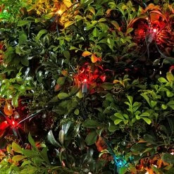 Home Accents Holiday 150L Multi Incandescent Mini Net Lights 10 Home Accents Holiday 150L Multi Incandescent Mini Net Lights -HOME ACCENTS HOLIDAY Shop home accents holiday christmas net lights tol 150 3wa n m a0 1000