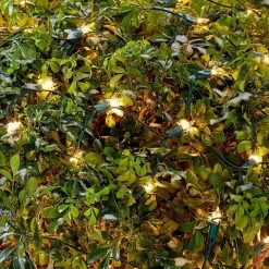 Home Accents Holiday 300L Clear Incandescent Mini Net Lights 12 Home Accents Holiday 300L Clear Incandescent Mini Net Lights -HOME ACCENTS HOLIDAY Shop home accents holiday christmas net lights tol 300 6wb n c 40 1000