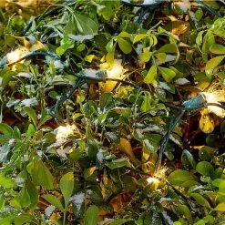 Home Accents Holiday 300L Clear Incandescent Mini Net Lights 17 Home Accents Holiday 300L Clear Incandescent Mini Net Lights -HOME ACCENTS HOLIDAY Shop home accents holiday christmas net lights tol 300 6wb n c c3 1000