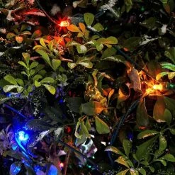 Home Accents Holiday 48 in. x 72 in. 150-Light LED Multi-Color Dome Twinkle Net Light -HOME ACCENTS HOLIDAY Shop home accents holiday christmas net lights ty413 1615m 1d 1000