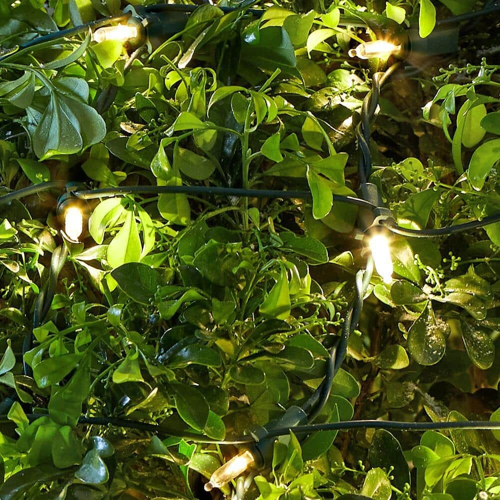 Home Accents Holiday 150L Warm White Mini LED Net Steady Lit Lights 6 Home Accents Holiday 150L Warm White Mini LED Net Steady Lit Lights - Image 4