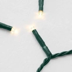 Home Accents Holiday 600L Warm White Micro Fairy LED Steady Lit Lights 10 Home Accents Holiday 600L Warm White Micro Fairy LED Steady Lit Lights -HOME ACCENTS HOLIDAY Shop home accents holiday christmas string lights 22le21006 a0 1000