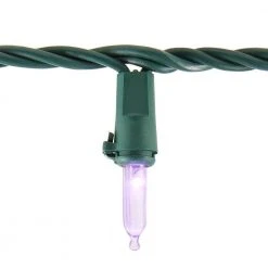Home Accents Holiday 100L Purple Mini LED Lights -HOME ACCENTS HOLIDAY Shop home accents holiday christmas string lights ty 100sm pus 40 1000