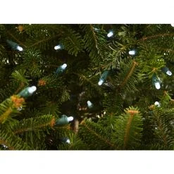 Home Accents Holiday 200L Cool White Dome LED Lights -HOME ACCENTS HOLIDAY Shop home accents holiday christmas string lights ty 200d w 1d 1000