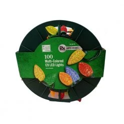 Home Accents Holiday 100L Multi Faceted C9 LED Lights
