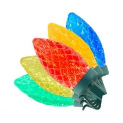 Home Accents Holiday 25L Multi Faceted C9 LED Lights