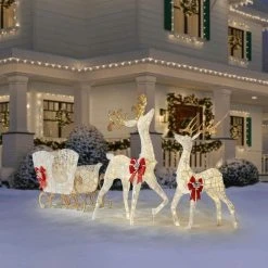 Home Accents Holiday 5 ft Warm White LED Reindeer with Sleigh Holiday Yard Decoration -HOME ACCENTS HOLIDAY Shop home accents holiday christmas yard decorations 22rt1182211 66 1000