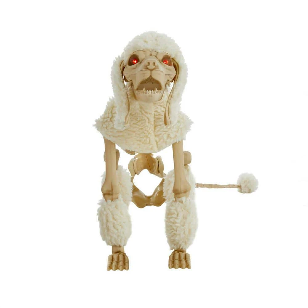 Home Accents Holiday 17 in. Animated Skeleton Poodle with LED Eyes 5 Home Accents Holiday 17 in. Animated Skeleton Poodle with LED Eyes - Image 3