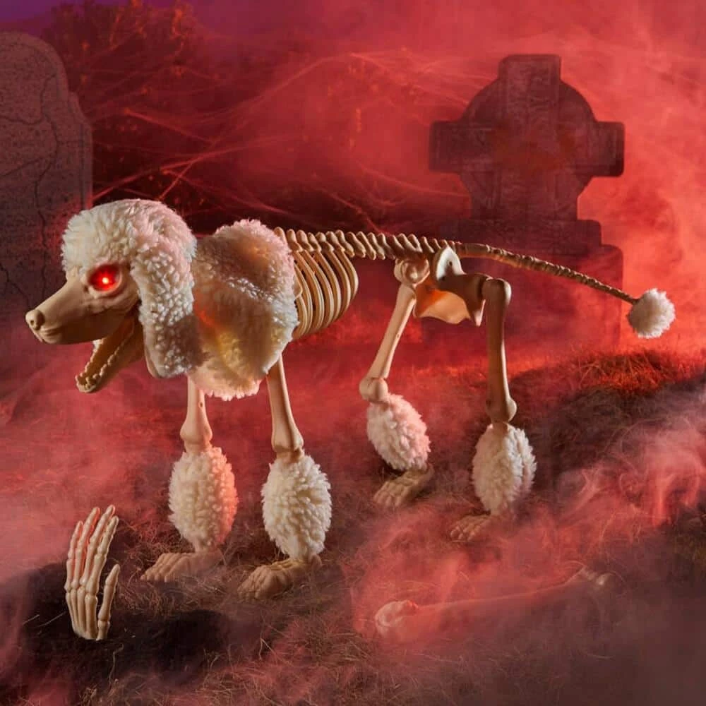 Home Accents Holiday 17 in. Animated Skeleton Poodle with LED Eyes 4 Home Accents Holiday 17 in. Animated Skeleton Poodle with LED Eyes - Image 2