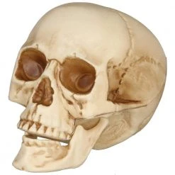 Home Accents Holiday 3-Piece Realistic Bag of Skulls 8 Home Accents Holiday 3-Piece Realistic Bag of Skulls -HOME ACCENTS HOLIDAY Shop home accents holiday halloween props 7345 07967 40 1000