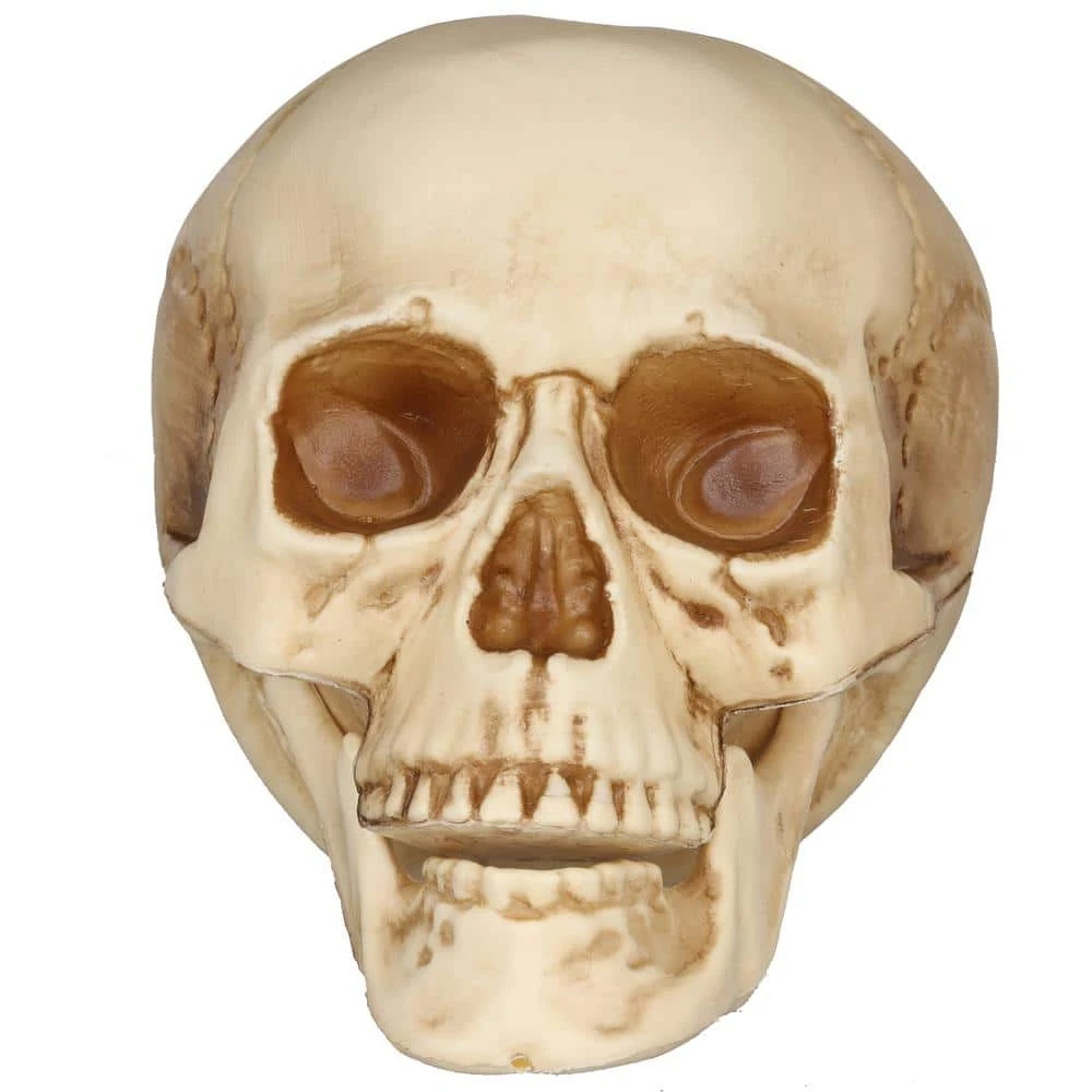 Home Accents Holiday 3-Piece Realistic Bag of Skulls 6 Home Accents Holiday 3-Piece Realistic Bag of Skulls - Image 4