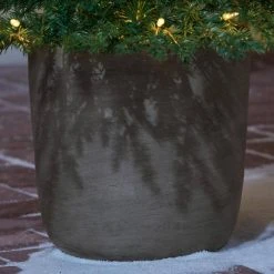 Home Accents Holiday 4.5 ft Grand Fir Potted Christmas Tree 9 Home Accents Holiday 4.5 ft Grand Fir Potted Christmas Tree -HOME ACCENTS HOLIDAY Shop home accents holiday outdoor christmas trees 22gr00218 a0 1000