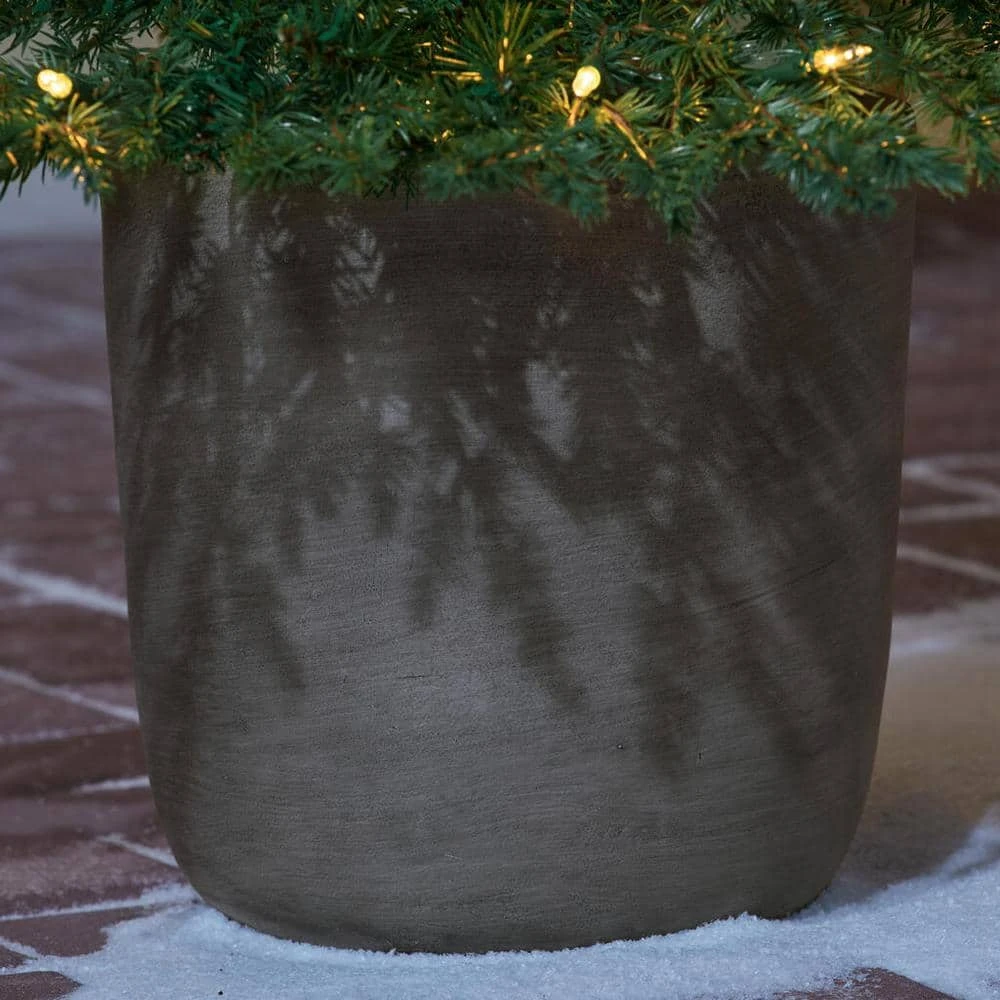 Home Accents Holiday 4.5 ft Grand Fir Potted Christmas Tree 6 Home Accents Holiday 4.5 ft Grand Fir Potted Christmas Tree - Image 4