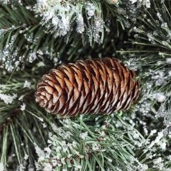 Home Accents Holiday 6 ft Sparkling Amelia Potted Christmas Tree -HOME ACCENTS HOLIDAY Shop home accents holiday outdoor christmas trees 22pg90183 40 1000