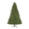 Home Accents Holiday 7.5 ft Windsor Fraser Fir LED Christmas Tree 1 Home Accents Holiday 7.5 ft Windsor Fraser Fir LED Christmas Tree -HOME ACCENTS HOLIDAY Shop home accents holiday pre lit christmas trees 21hd10007 64 1000