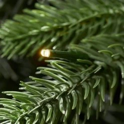 Home Accents Holiday 9 ft. Westwood Fir Christmas Tree -HOME ACCENTS HOLIDAY Shop home accents holiday pre lit christmas trees 21pg90244 1d 1000