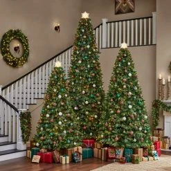 Home Accents Holiday 9 ft. Westwood Fir Christmas Tree -HOME ACCENTS HOLIDAY Shop home accents holiday pre lit christmas trees 21pg90244 77 1000