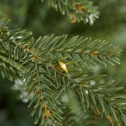 Home Accents Holiday 9 ft Jackson Noble Fir Christmas Tree -HOME ACCENTS HOLIDAY Shop home accents holiday pre lit christmas trees 21wl10159 40 1000