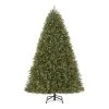 Home Accents Holiday 7.5 ft Dunland Fir Christmas Tree -HOME ACCENTS HOLIDAY Shop home accents holiday pre lit christmas trees 22wl10102 64 1000