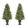 Home Accents Holiday 5 ft Woodmore Potted Christmas Tree 2-Pack -HOME ACCENTS HOLIDAY Shop home accents holiday pre lit christmas trees chzh3811602t14 64 1000