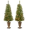 Home Accents Holiday 4 ft Montclair Spruce Potted 2-Pack