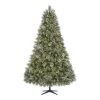 Home Accents Holiday 7.5 ft Sparkling Amelia Pine Christmas Tree -HOME ACCENTS HOLIDAY Shop home accents holiday pre lit christmas trees tg76m3acdl19 64 1000