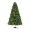 Home Accents Holiday 7.5 ft Wesley Pine Christmas Tree 2 Home Accents Holiday 7.5 ft Wesley Pine Christmas Tree -HOME ACCENTS HOLIDAY Shop home accents holiday pre lit christmas trees tg76m3baqd00 64 1000