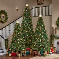 Home Accents Holiday 7.5 ft. Westwood Fir Christmas Tree 15 Home Accents Holiday 7.5 ft. Westwood Fir Christmas Tree -HOME ACCENTS HOLIDAY Shop home accents holiday pre lit christmas trees tg76p4924l08 77 1000