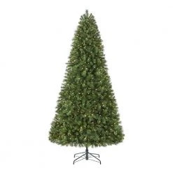 Home Accents Holiday 9 ft Wesley Pine Christmas Tree 12 Home Accents Holiday 9 ft Wesley Pine Christmas Tree -HOME ACCENTS HOLIDAY Shop home accents holiday pre lit christmas trees tg90m3p07d27 40 1000