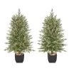 Home Accents Holiday 4 ft Potted Christmas Tree 2-Pack