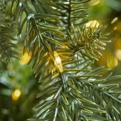 Home Accents Holiday 7.5 ft Jackson Noble Christmas Tree 14 Home Accents Holiday 7.5 ft Jackson Noble Christmas Tree -HOME ACCENTS HOLIDAY Shop home accents holiday pre lit christmas trees w14n0202 1d 1000