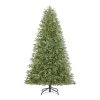 Home Accents Holiday 7.5 ft Jackson Noble Christmas Tree 1 Home Accents Holiday 7.5 ft Jackson Noble Christmas Tree -HOME ACCENTS HOLIDAY Shop home accents holiday pre lit christmas trees w14n0202 64 1000
