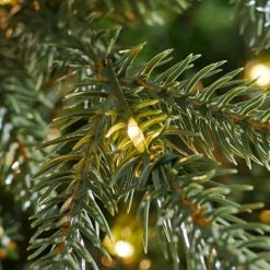 Home Accents Holiday 7.5 ft Jackson Noble Slim Christmas Tree -HOME ACCENTS HOLIDAY Shop home accents holiday pre lit christmas trees w14n0211 1d 1000