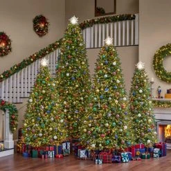 Home Accents Holiday 7.5 ft Jackson Noble Slim Christmas Tree -HOME ACCENTS HOLIDAY Shop home accents holiday pre lit christmas trees w14n0211 66 1000