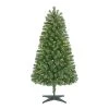 Unbranded 5 ft Woodtrail Fir Incandescent Christmas Tree 2 Unbranded 5 ft Woodtrail Fir Incandescent Christmas Tree -HOME ACCENTS HOLIDAY Shop pre lit christmas trees 22gu05002 64 1000
